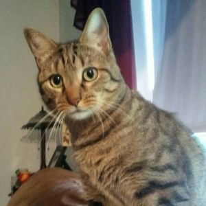 Meet your Posher, Karla